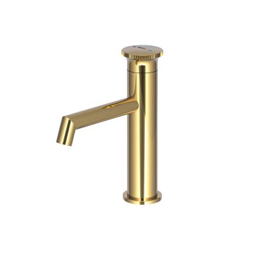 Arte Leo S Lavabo Bataryası Altın